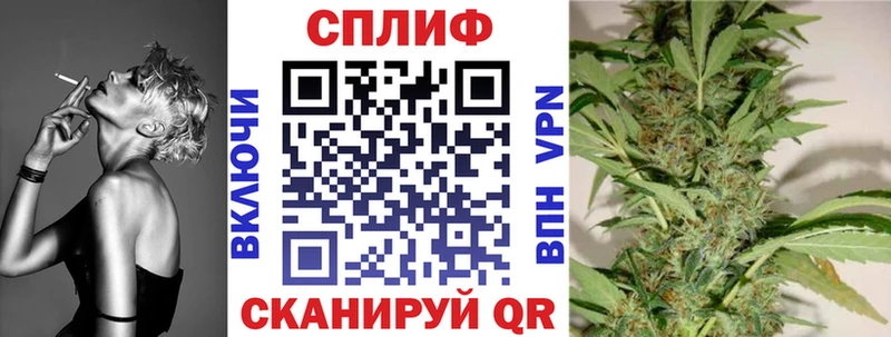 Продажа наркотиков Выкса мега онион  Псилоцибиновые грибы  COCAIN  Гашиш  APVP  Метамфетамин 