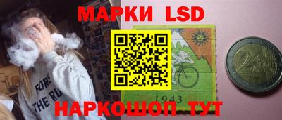индика Брянск