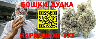 индика Брянск