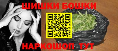 индика Брянск