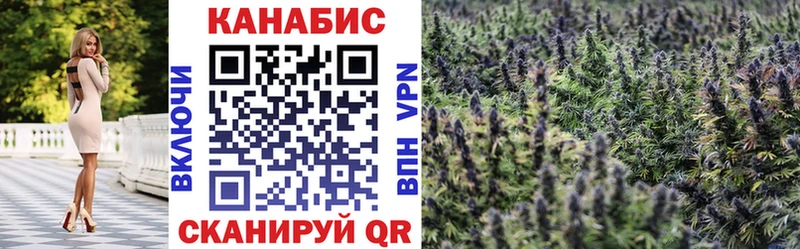 Шишки марихуана Amnesia  Выкса 